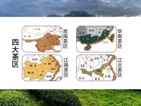 中国四大茶区