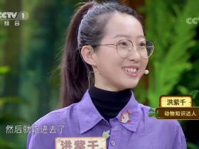 读高校才女洪紫千五四寄语|贡献青春力量 书写青年挺膺担当