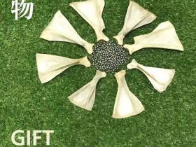 爱在草原——参观全宝个展“礼物”