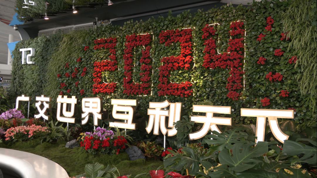 本周，到白云机场，邂逅江门！-图片15