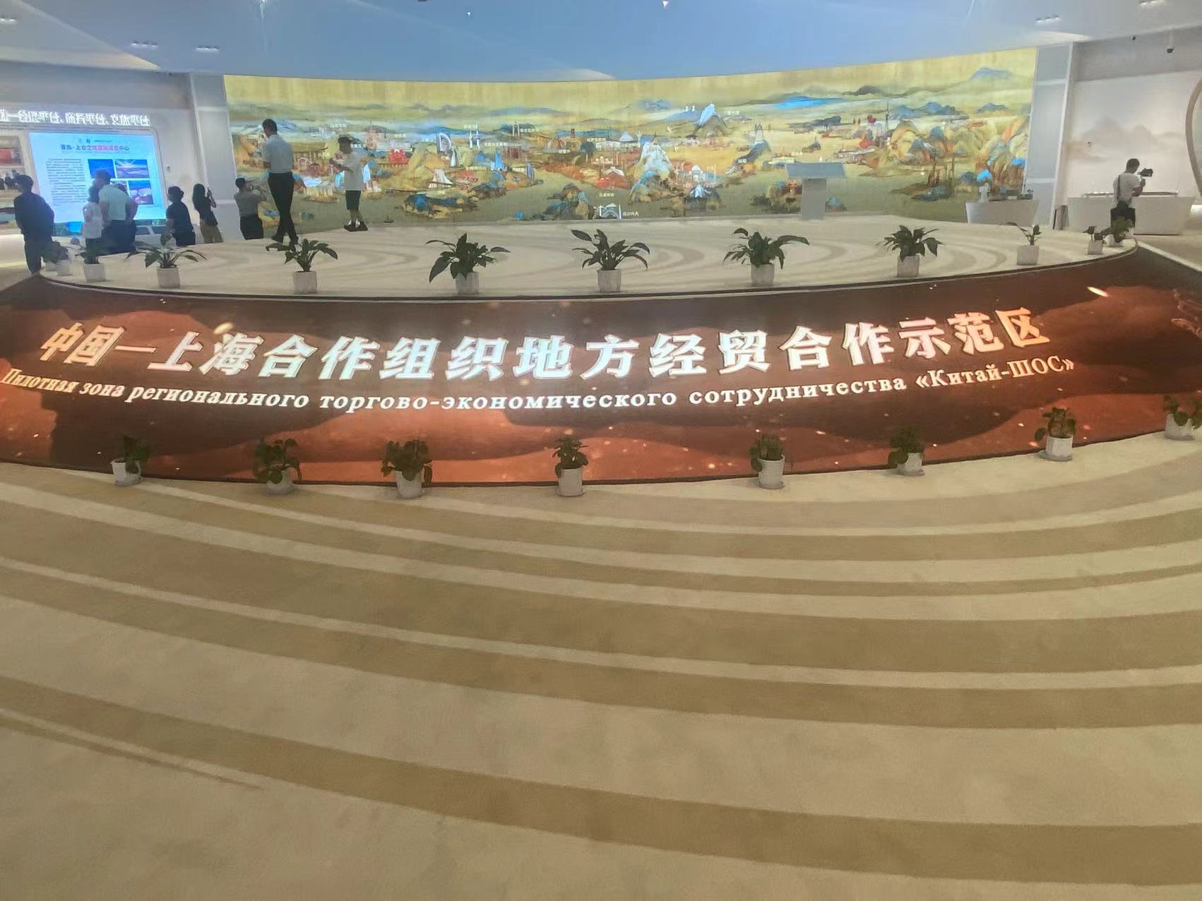 随笔:青岛胶州湾边的璀璨明珠-图片1
