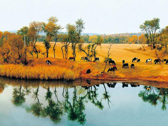 山西右玉连续八年获“中国最美县域”称号